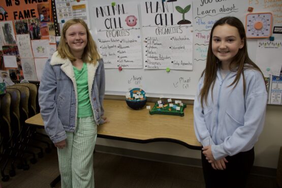 6th Grade Cell Project_1