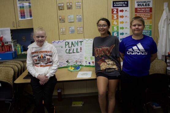 6th Grade Cell Project_6