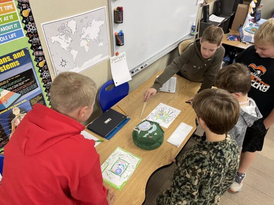 6th Grade Cell Project_7