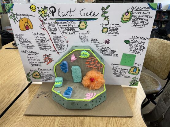 6th Grade Cell Project_9